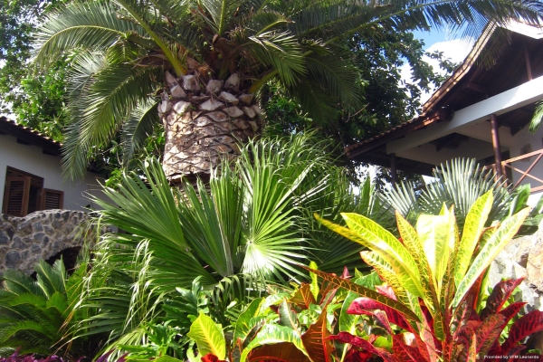 Hotel Baoase Luxury Resort